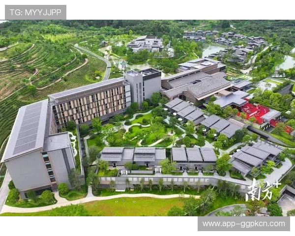 探索美高梅娱乐场的特色服务与安全保障，打造放心娱乐新体验